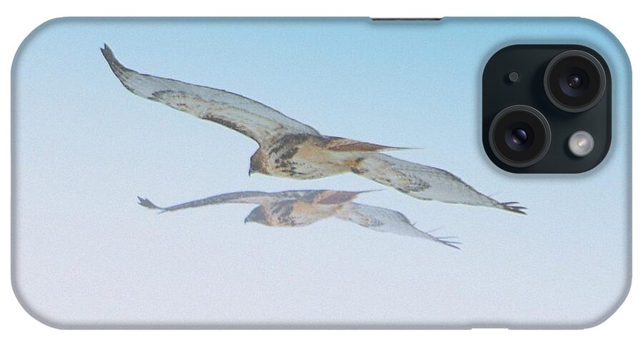  iPhone Case featuring the photograph Taking Flight by Kimberly Woyak
