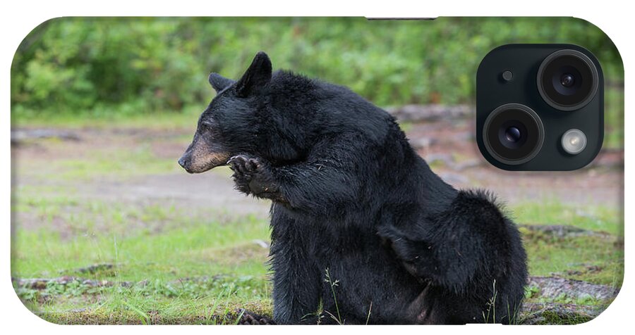 Black Bear iPhone Case featuring the photograph Talk to the hand by David Kirby