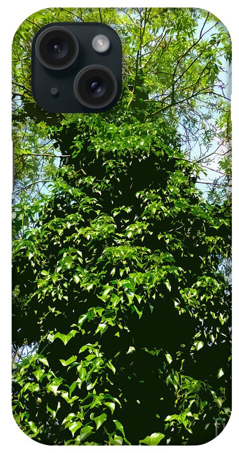 Digital Art iPhone Case featuring the digital art Tall evergreen Tree by Francesca Mackenney