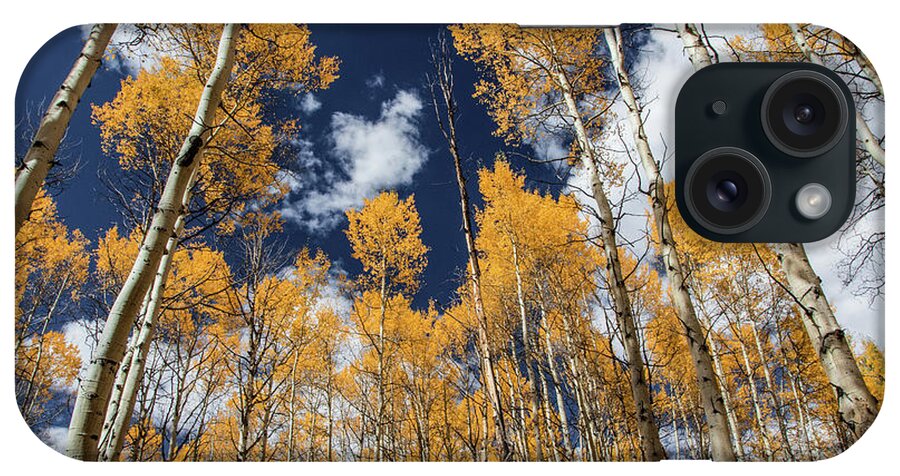 Colorado iPhone Case featuring the photograph Tall Tall Aspens by Dawn Key