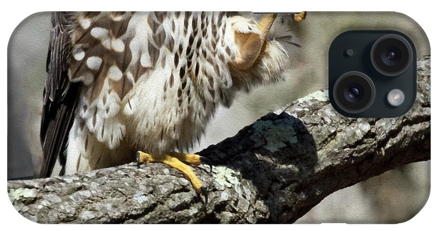 Merlin iPhone Case featuring the photograph Talon Exam by Art Cole