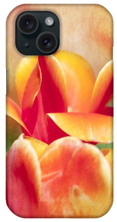 Tulip iPhone Case featuring the photograph Tangerine Tulip Sorbet by Jeff Mize