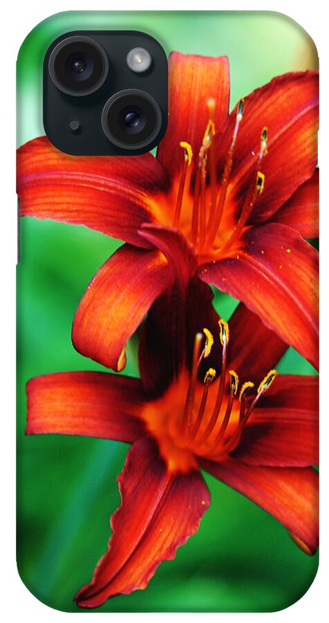 Tawny Lily iPhone Case featuring the photograph Tawny Beauty by Debbie Oppermann
