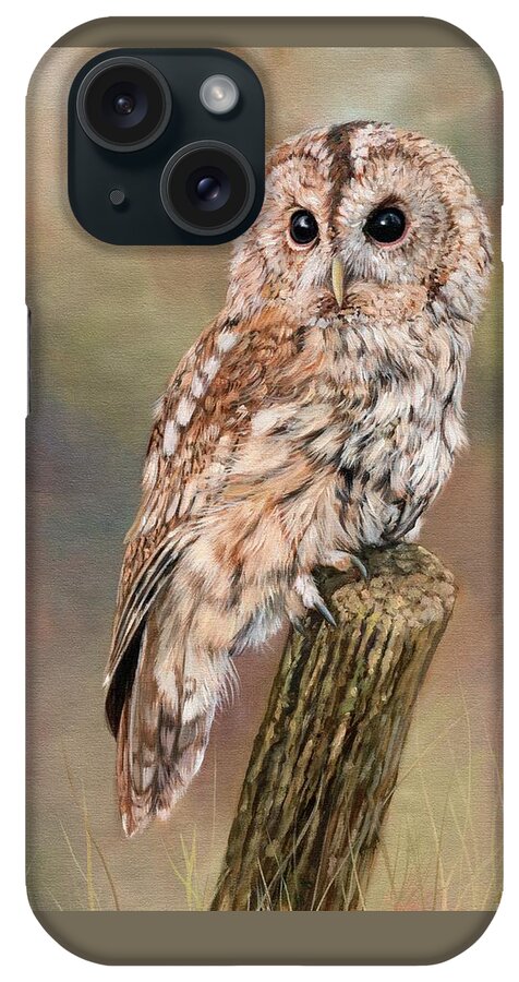Owl iPhone Case featuring the painting Tawny Owl by David Stribbling