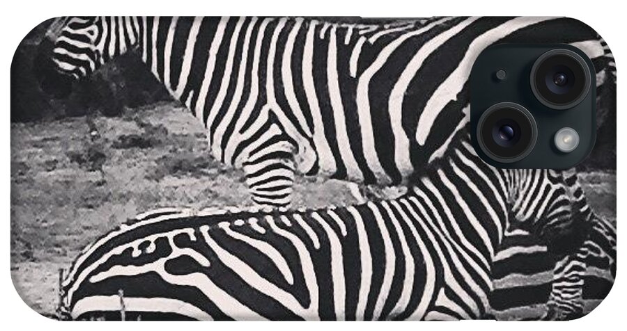 Zebra iPhone Case featuring the photograph Black and White by Kate Arsenault 
