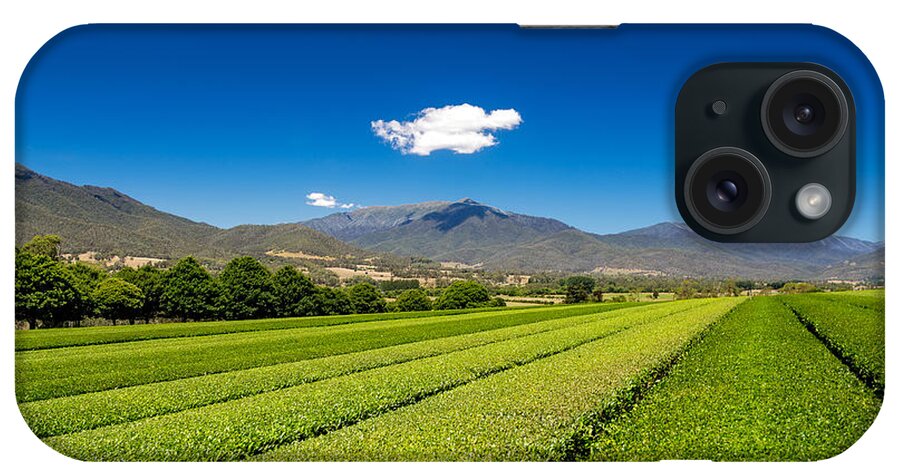 Alpine Green Tea iPhone Case featuring the photograph Tea in the Valley by Mark Lucey
