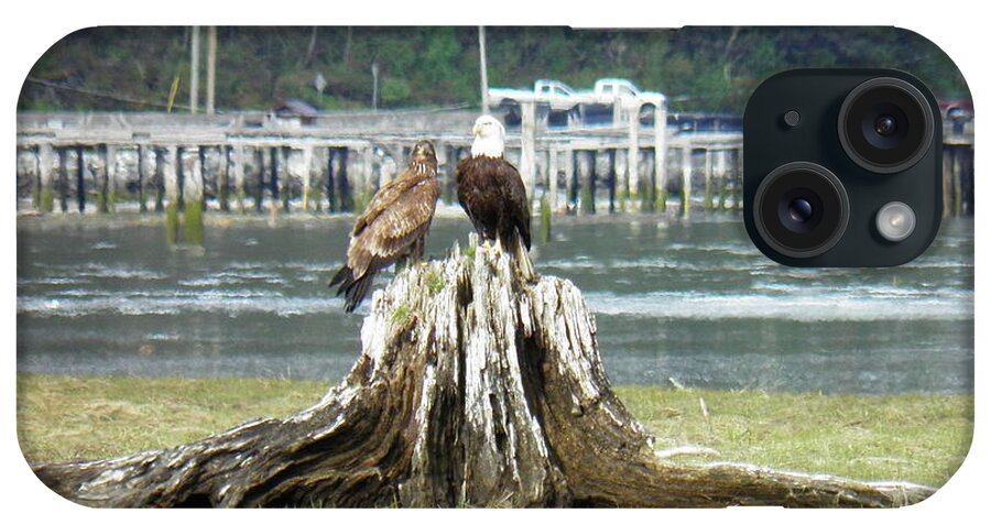 Eagles Pier Water Inlet Grass Estuary Cars Trees Forest Scenery Landscape Bird Adult Juvenile Spring Stump Pole Waves Green Brown Orange Yellow Blue Grey White Proud iPhone Case featuring the photograph Teacher by Ida Eriksen