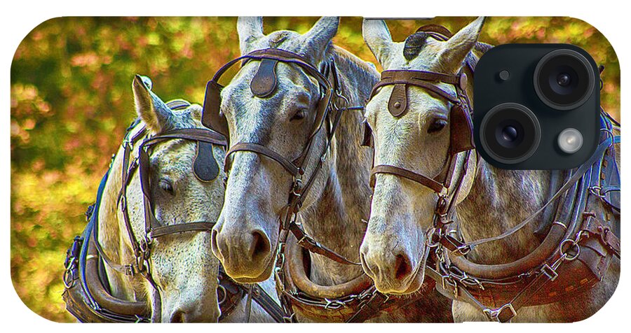 Horses iPhone Case featuring the photograph Teamwork by Kevin Senter
