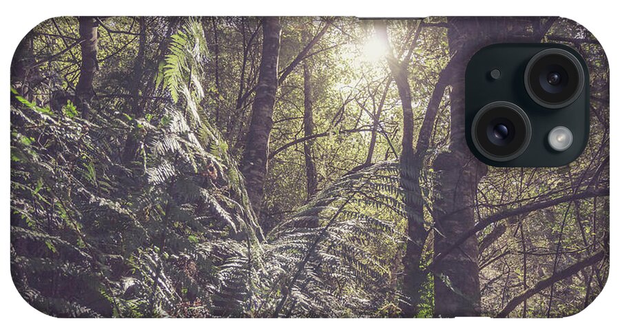 Liffey iPhone Case featuring the photograph Temperate rainforest canopy by Jorgo Photography