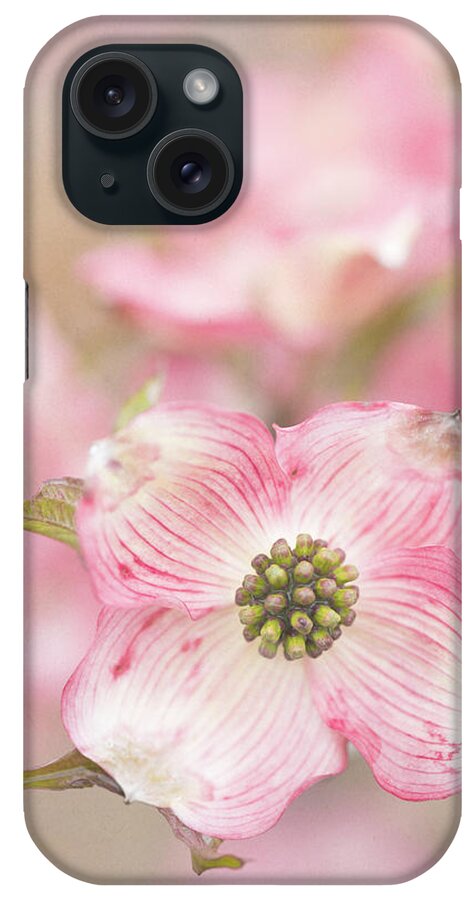 Dogwood iPhone Case featuring the photograph Tender Light by Kim Carpentier