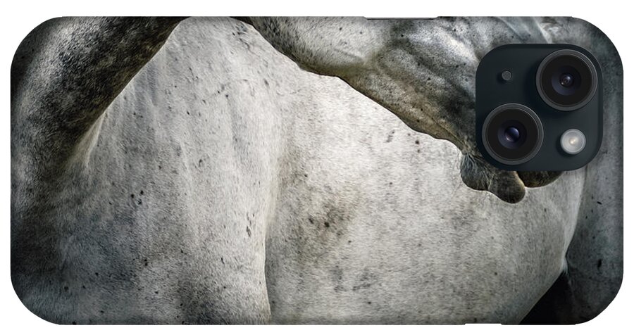 Animal iPhone Case featuring the photograph Tender portrait of white horse head close up by Dimitar Hristov