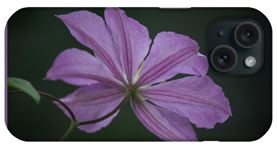 Photograph iPhone Case featuring the photograph Teresas Clematis by Suzanne Gaff