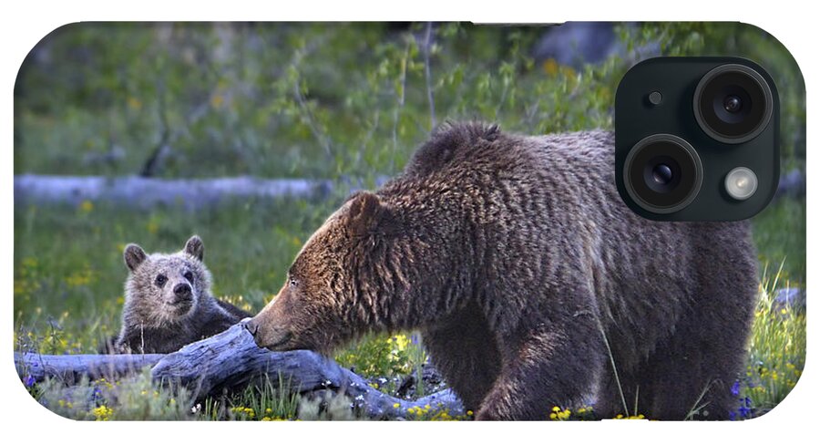 Grizzly Bear iPhone Case featuring the photograph Teton Grizzly Mama and Cub by Deby Dixon