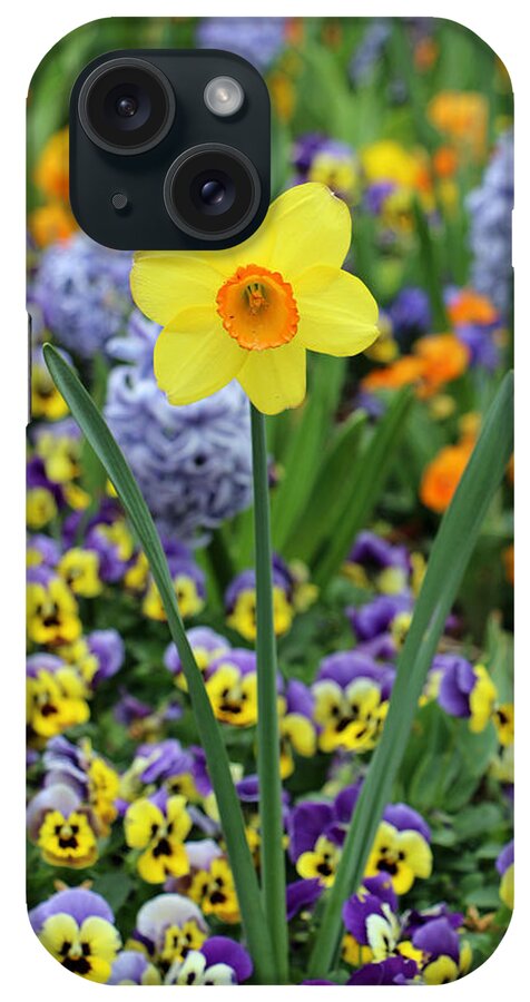 Daffodil iPhone Case featuring the photograph Texas Blooms 48 by Pamela Critchlow