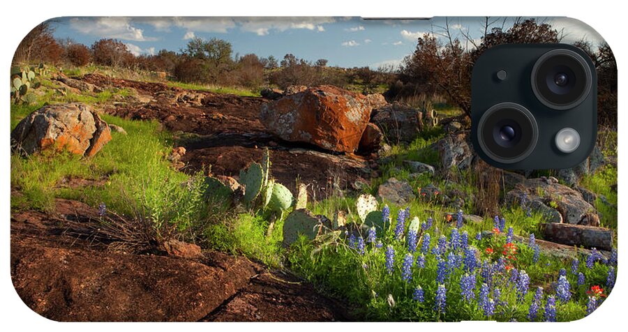Texas Blue Bonnets iPhone Case featuring the photograph Texas Blue Bonnets and cactus by Keith Kapple