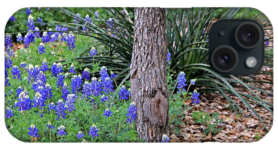 Landscape iPhone Case featuring the photograph Texas Bluebonnets by Matalyn Gardner