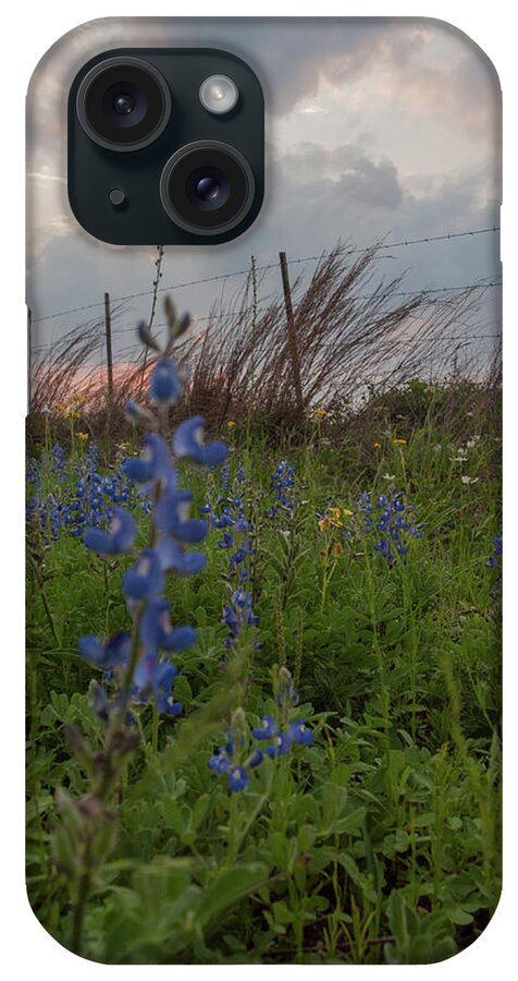 Wildflower iPhone Case featuring the photograph Texas Coastal Prairie Wildflower Sunset by Joshua House