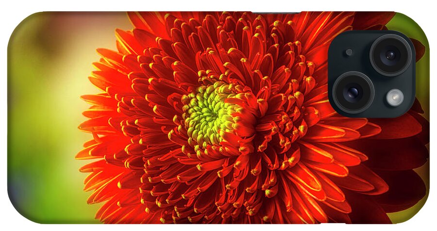 Color iPhone Case featuring the photograph Textured Beautiful Dahlia by Garry Gay