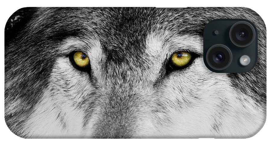 Yellow Eyed Wolf iPhone Case featuring the photograph The Alpha Portrait by Mircea Costina Photography