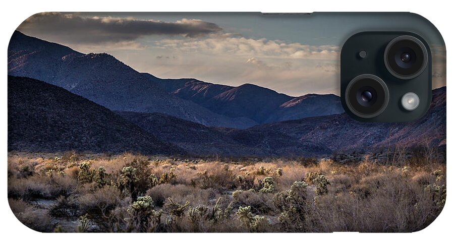 Anza-borrego Desert iPhone Case featuring the photograph The American West by Peter Tellone