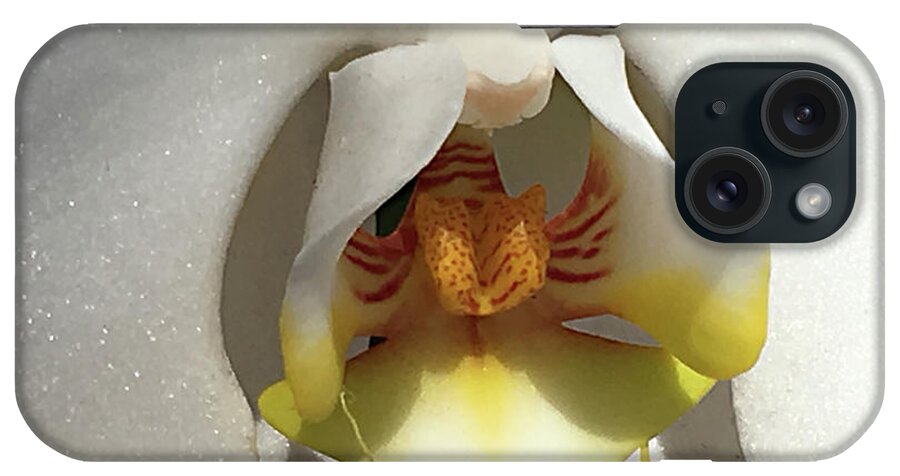 Orchid iPhone Case featuring the photograph The Art of an Orchid by Sherry Hallemeier