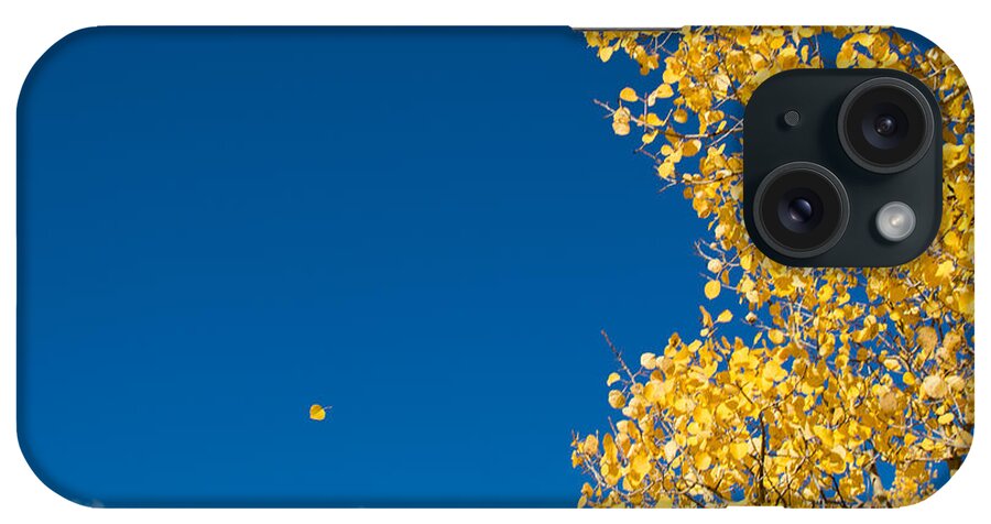 Aspen iPhone Case featuring the photograph The Aspen Leaf by Stephen Holst