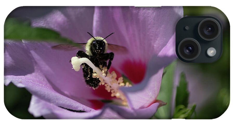 Rose Of Sharon iPhone Case featuring the digital art The Bee by Ed Stines