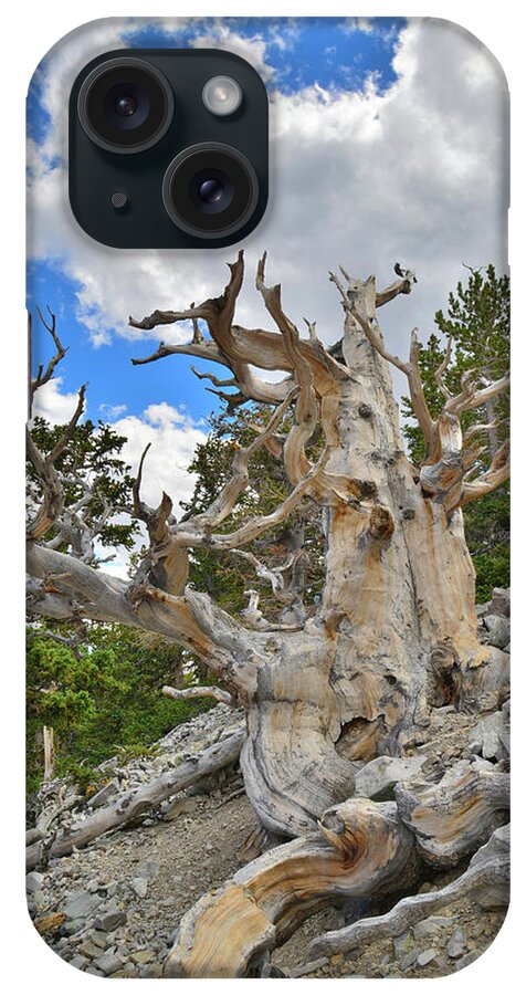 Great Basin National Park iPhone Case featuring the photograph The Big Bristlecone by Ray Mathis