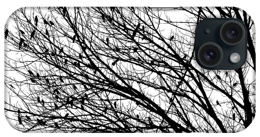 Birds Tree Trees Black And White A An Photo Art Artist Artistic Photograph Photographic Craig Walters Fine Contrast Landscape Forest Woods Life iPhone Case featuring the digital art The Birds by Craig Walters
