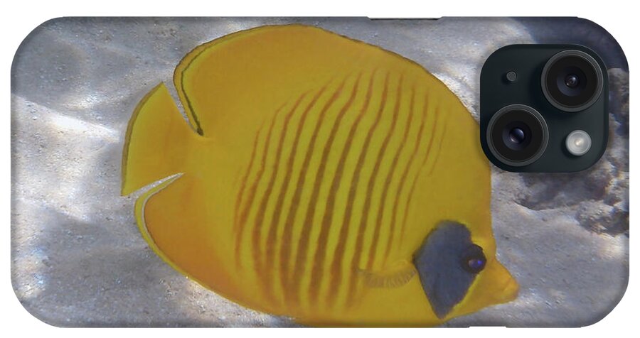 Fish iPhone Case featuring the photograph The Bluecheeked Butterflyfish Red Sea by Johanna Hurmerinta
