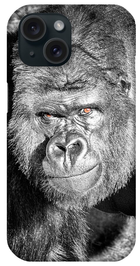 The Bouncer iPhone Case featuring the photograph The Bouncer Gorilla by David Millenheft
