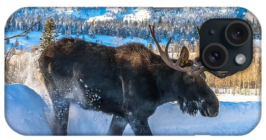 Moose iPhone Case featuring the photograph The Bulldozer by Yeates Photography