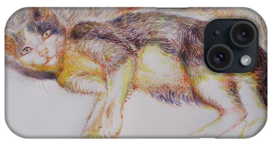 Acrylic iPhone Case featuring the painting The marginal cat by Sukalya Chearanantana