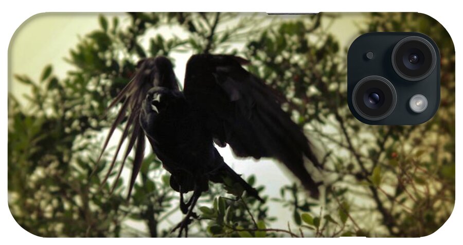 Crow iPhone Case featuring the photograph The Call by Stoney Lawrentz