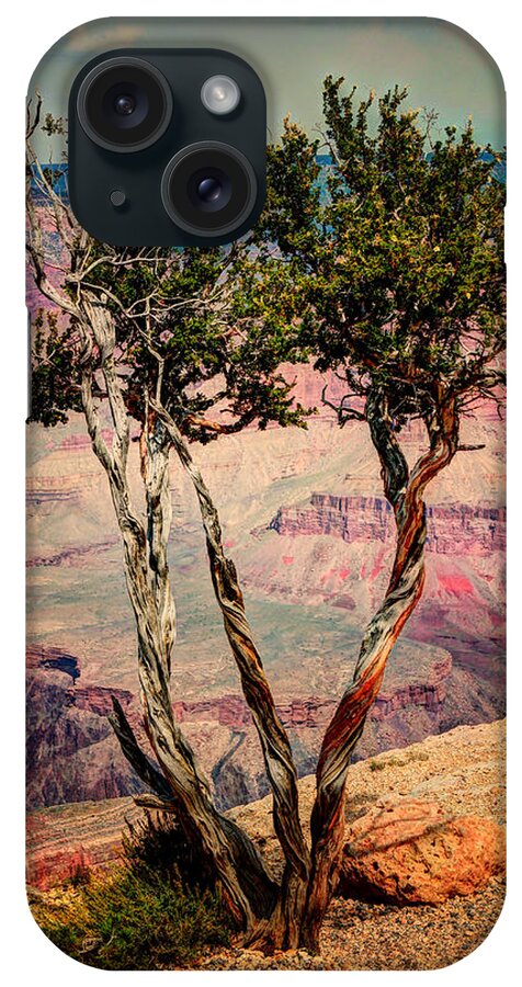 United States iPhone Case featuring the photograph The Canyon Tree by Tom Prendergast