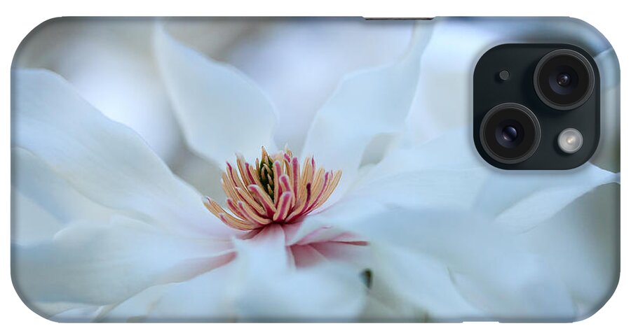 Illinois iPhone Case featuring the photograph The Center of Beauty by Joni Eskridge