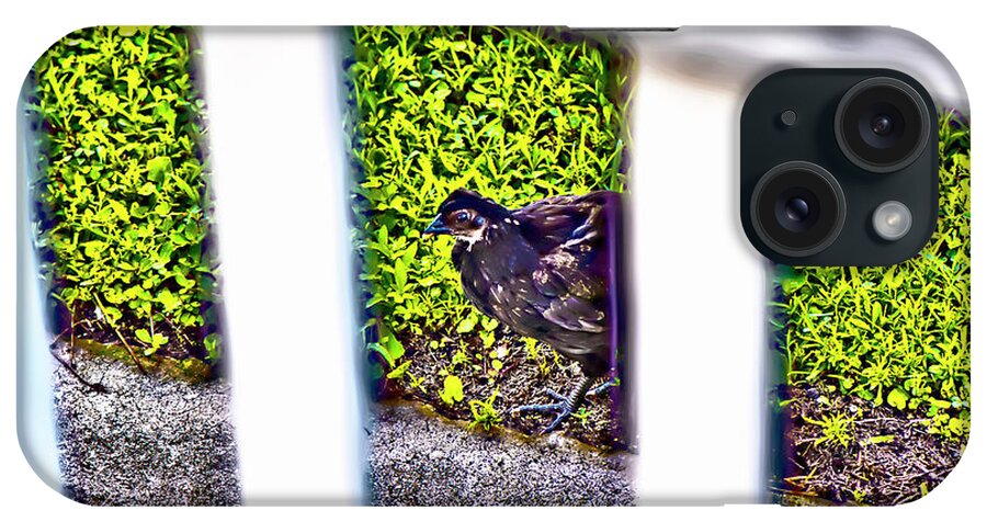 Chick iPhone Case featuring the photograph The Chick by Gina O'Brien