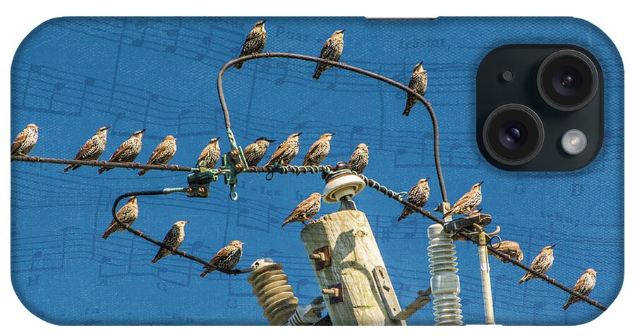 Birds iPhone Case featuring the photograph The Choir by Cathy Kovarik