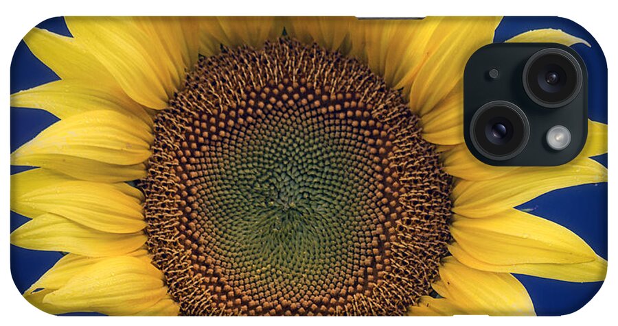 Sunflower iPhone Case featuring the photograph The Color of Summer by Robert Fawcett