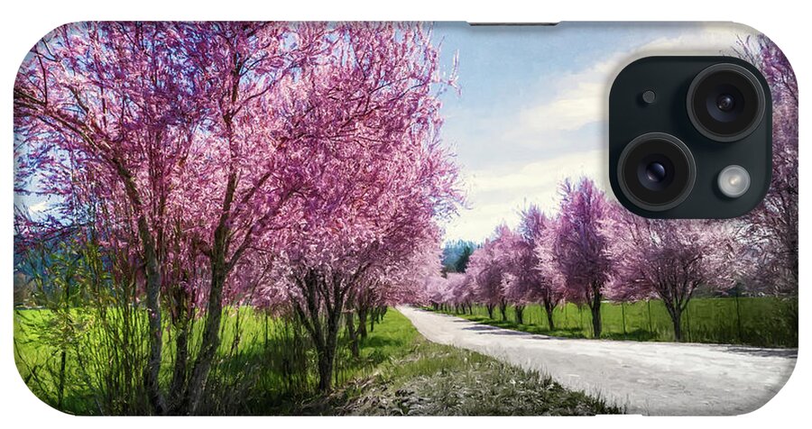 Plum Trees iPhone Case featuring the photograph The Coming of Spring by Belinda Greb
