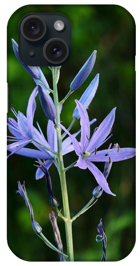 Common Camas iPhone Case featuring the photograph The Common Camas by I'ina Van Lawick