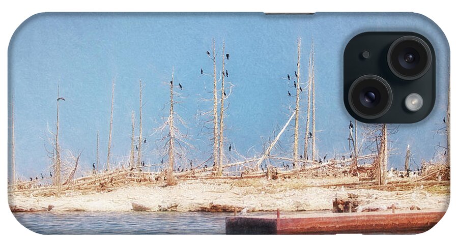 Cormorants iPhone Case featuring the photograph The Cormorants at Deaths Door by Susan Rissi Tregoning