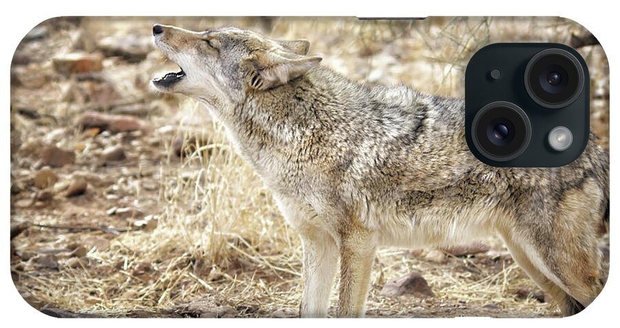 Coyote iPhone Case featuring the photograph The Coyote Howl by Elaine Malott