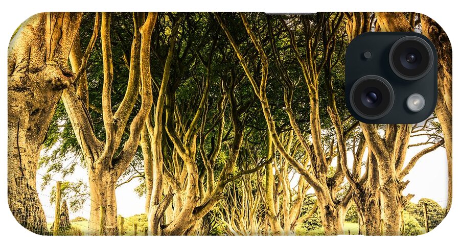 Ireland iPhone Case featuring the photograph The Dark Hedges by Julia Van stone