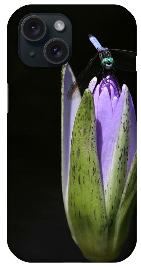 Bud iPhone Case featuring the photograph The Dragonfly and the Water Lily by Sabrina L Ryan