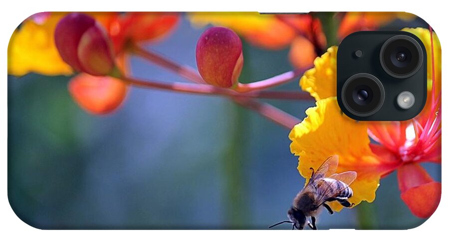 Bee iPhone Case featuring the photograph The Drop Off by Kim Yarbrough