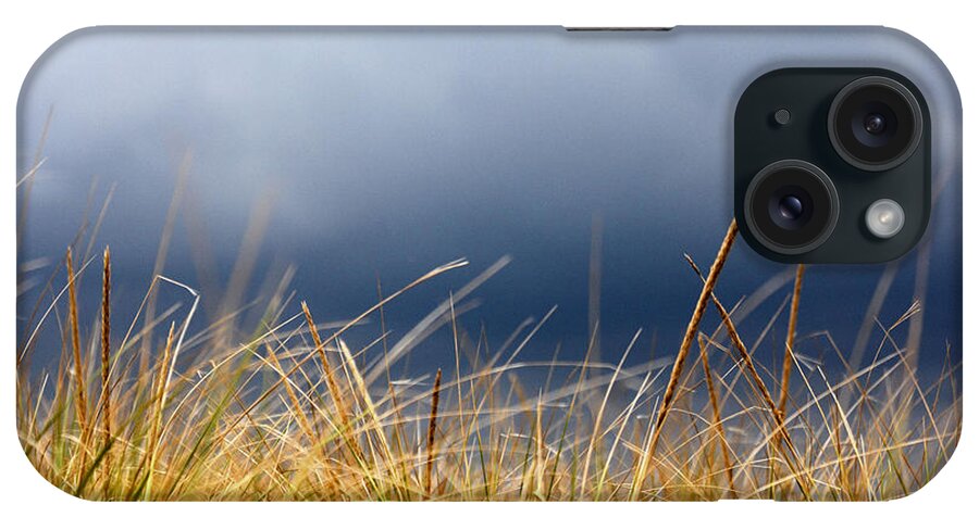 Dune iPhone Case featuring the photograph The tall grass waves in the wind by Dana DiPasquale