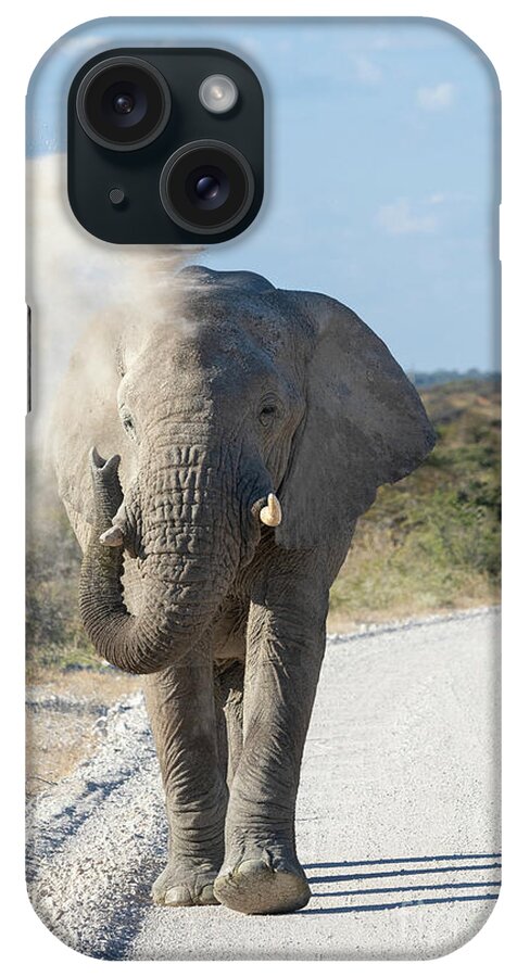 Wildlife iPhone Case featuring the photograph The Dust Bath - Namibia, Africa by Sandra Bronstein