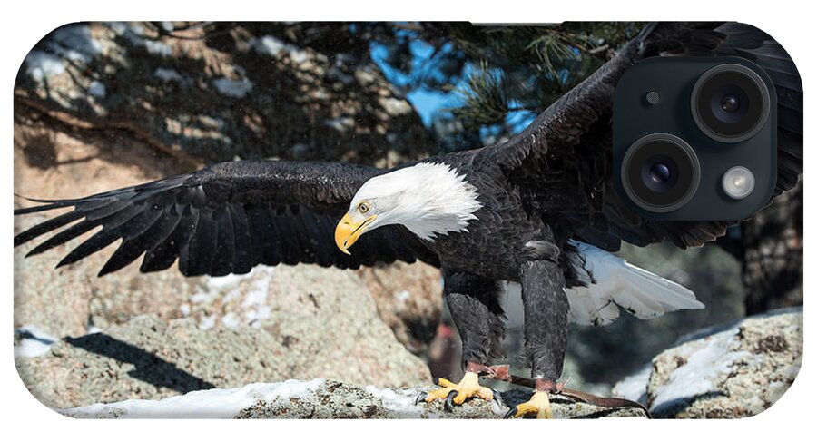 America iPhone Case featuring the photograph The Eagle Has Landed by Art Atkins