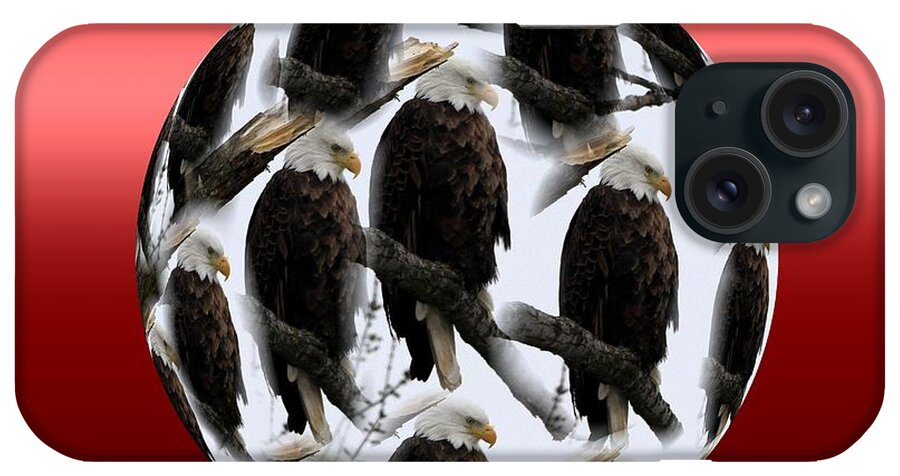 Eagles iPhone Case featuring the photograph The Eagles by Rick Rauzi